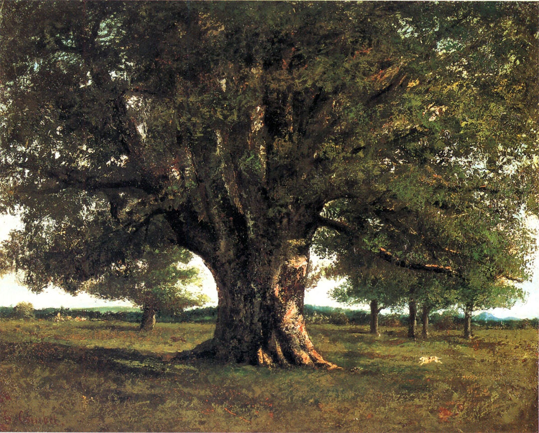 The Oak at Flagey